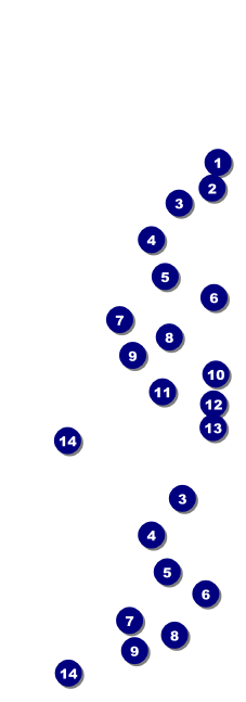 Chinese New Year 2014 Event Ticket Front Field Markers