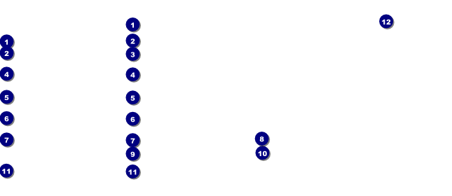 Scroll Gift Certificate 002 Front Field Markers
