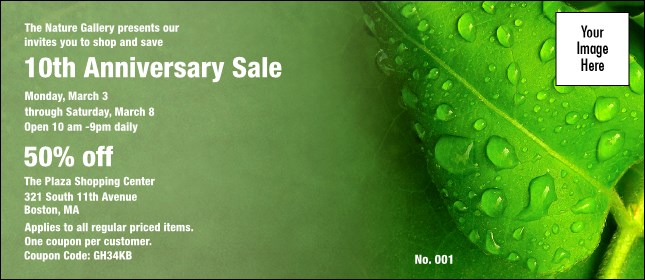 Raindrops Coupon 2
