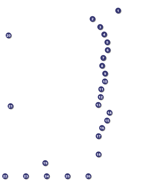 Lions Club International Flyer 002 Front Field Markers