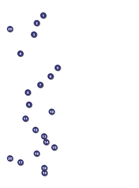 Year Flyer (Red) Front Field Markers