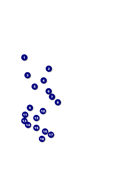 Fashion Show Flyer Front Field Markers