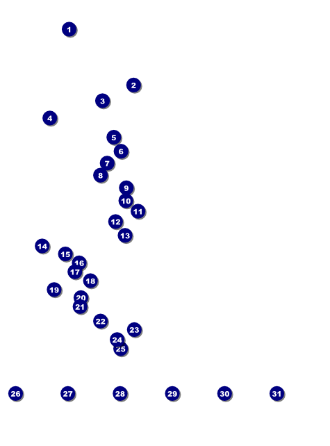 Spaghetti Flyer Front Field Markers