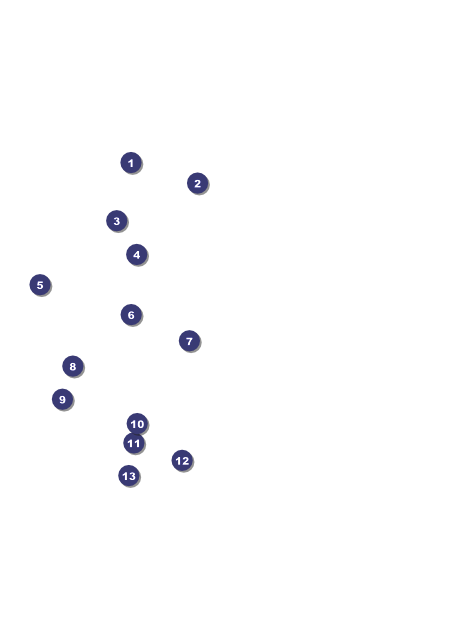 Hip Hop Green Flyer Front Field Markers