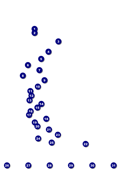 Aloha Flyer with Image Upload Front Field Markers