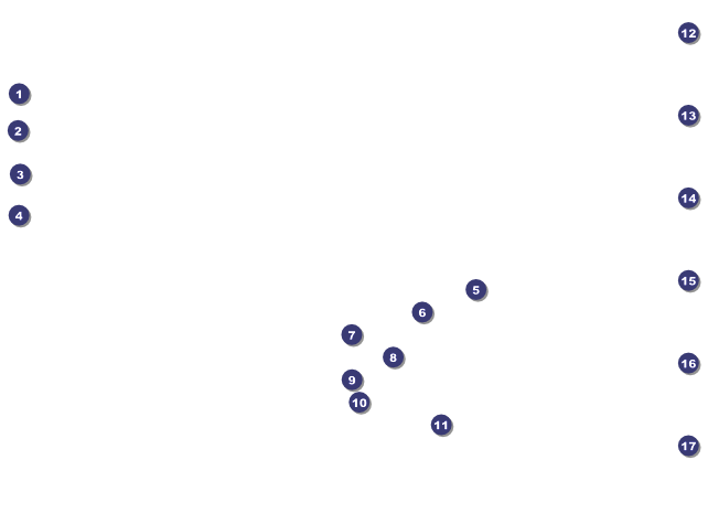 MDA Flyer Front Field Markers