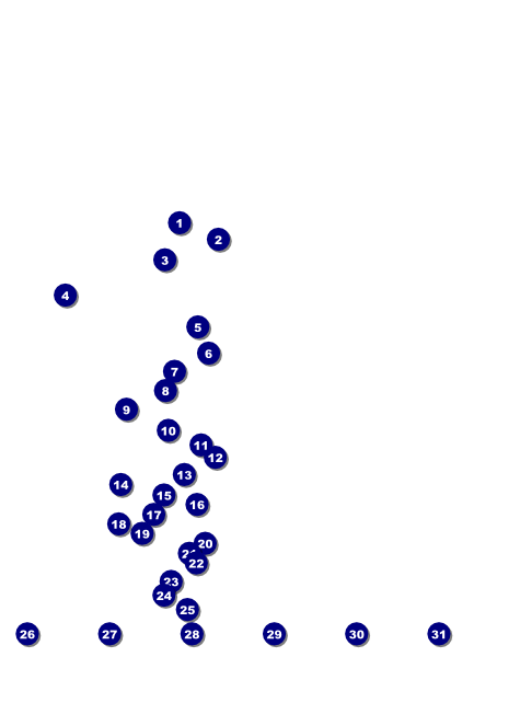 Rugby Flyer with Image Upload Front Field Markers