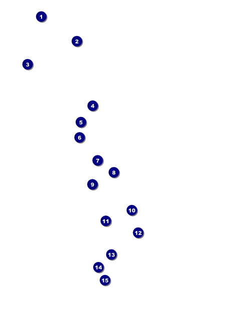 Cool Christmas Flyer 002 Front Field Markers