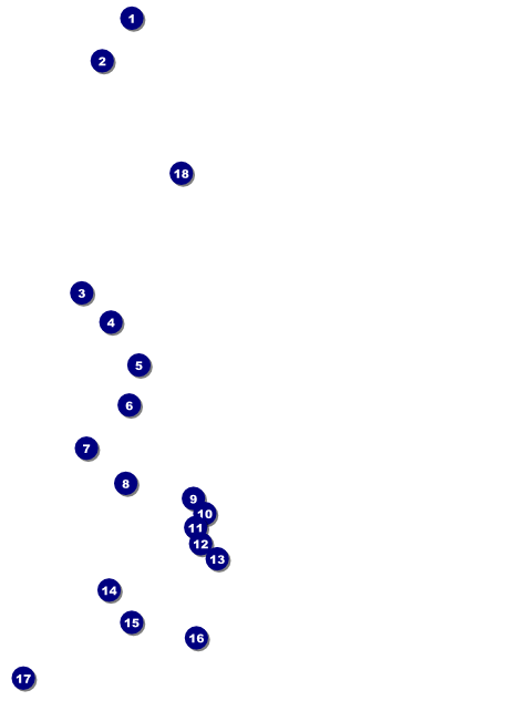 Sports Flyer 001 in Green and Gold Front Field Markers