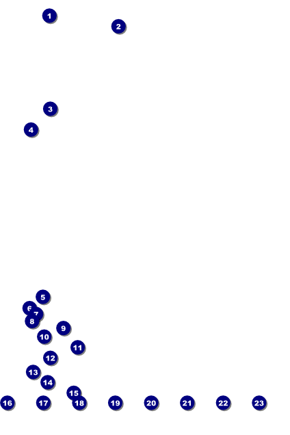 Prism Tree Logo Poster Front Field Markers