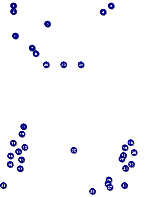 Mississauga Flyer Front Field Markers