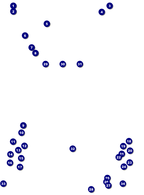 Edmonton Flyer Front Field Markers