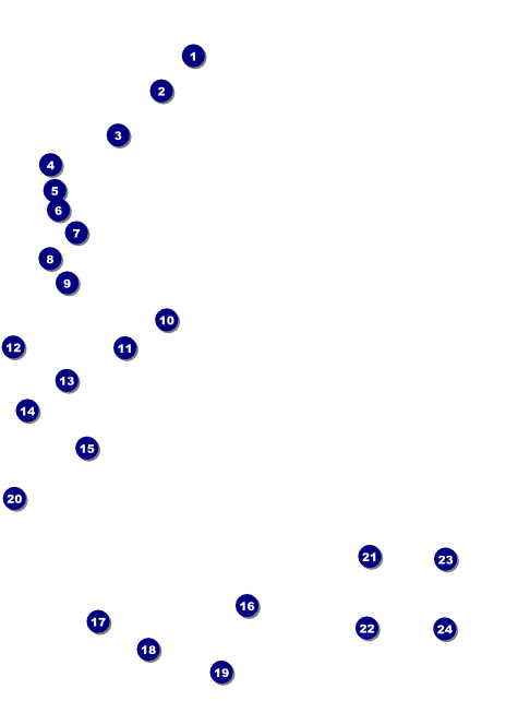 Winter Festival Flyer Front Field Markers