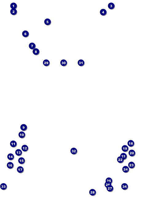 Winnipeg Flyer Front Field Markers