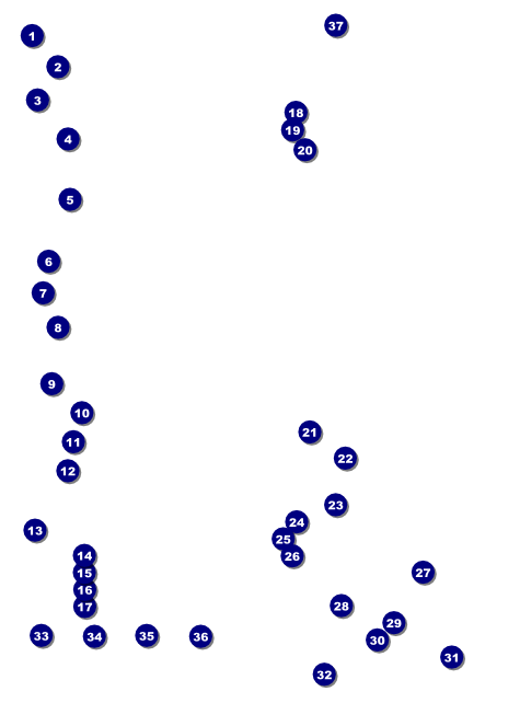 Run for a Cause Blue & Green Flyer Front Field Markers