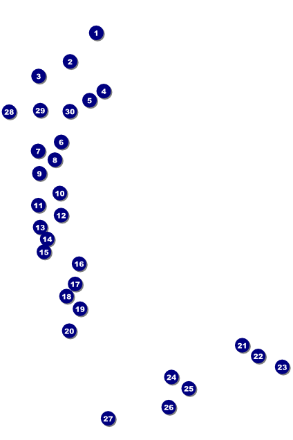 LGBT Pride Poster Front Field Markers