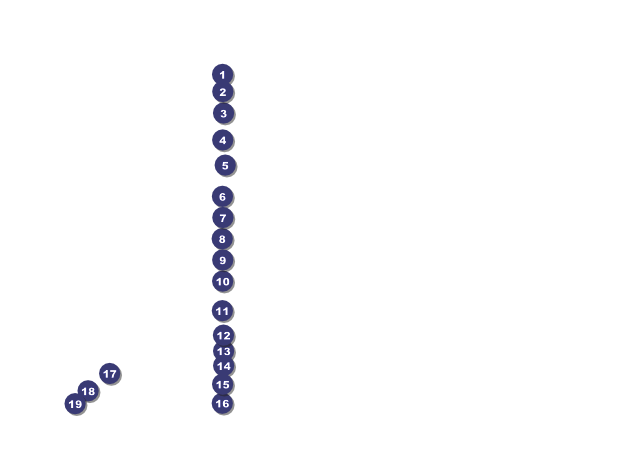 Wedding Flower Motif Flyer Front Field Markers