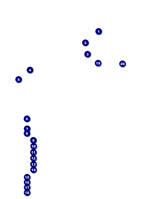 Golf Water Hazard Logo Flyer Front Field Markers