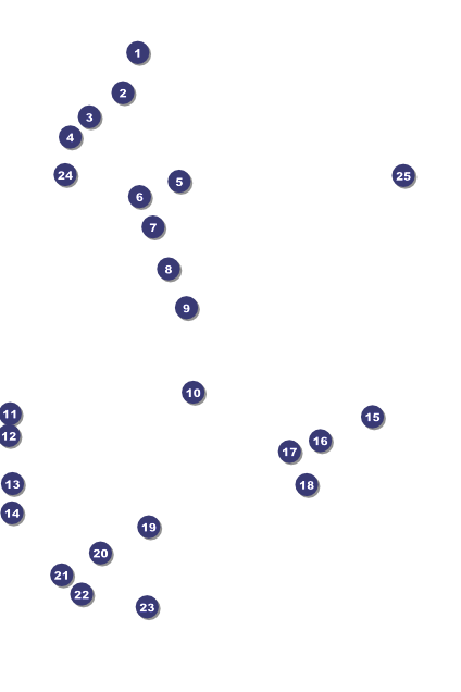 Wrestling Logo Poster (Black) Front Field Markers