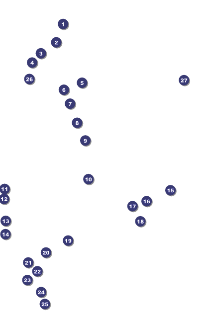 Wrestling Poster (Orange) Front Field Markers