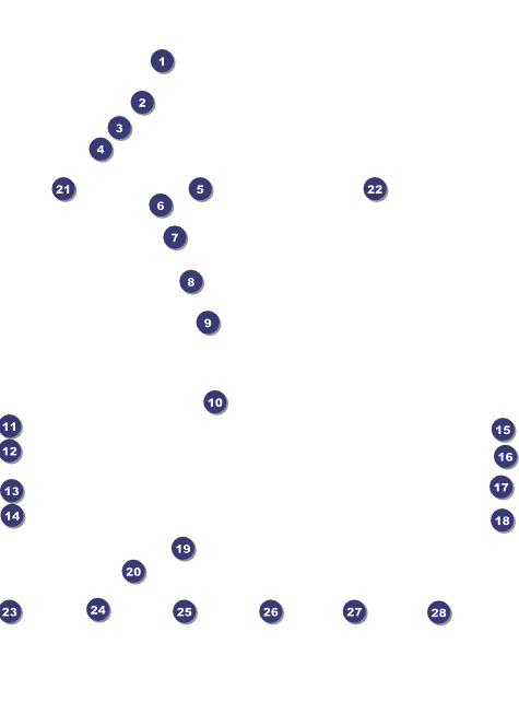 Wrestling Logo Flyer (Orange) Front Field Markers