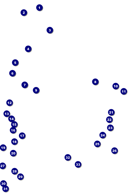 MMA Main Event Poster (Blue) Front Field Markers