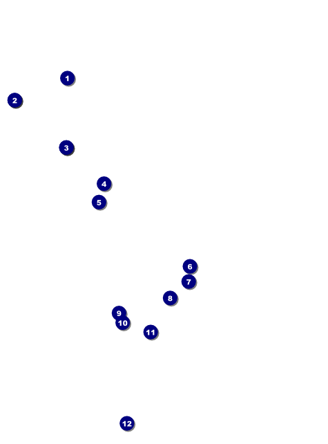 Whimsical Paris Flyer Front Field Markers