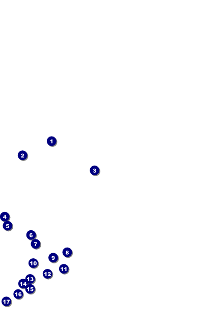 Bamboo Poster Front Field Markers