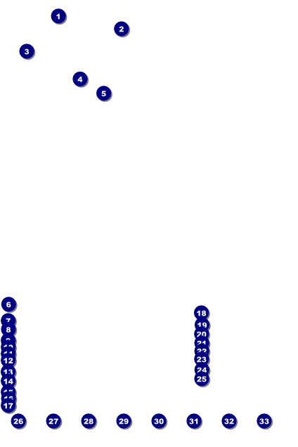 Ski Race Poster Front Field Markers