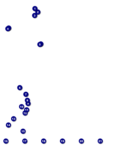 Chinese New Year Celebration Logo Flyer Front Field Markers