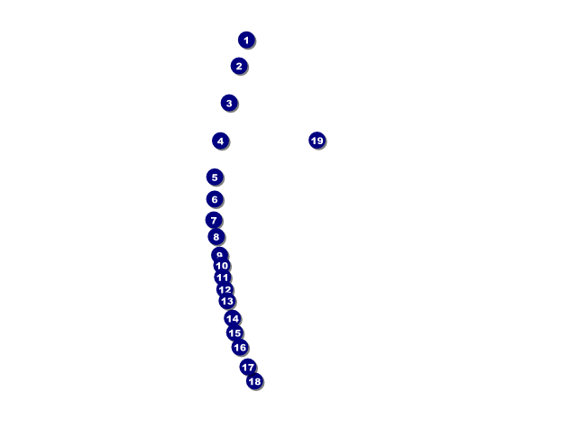 Baseball Stiches Flyer Front Field Markers