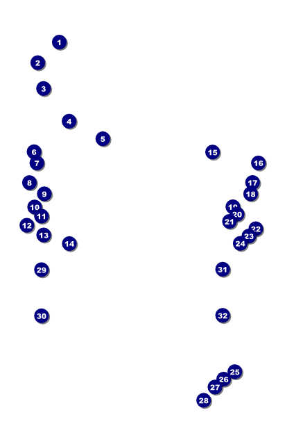 Banjo Poster Front Field Markers