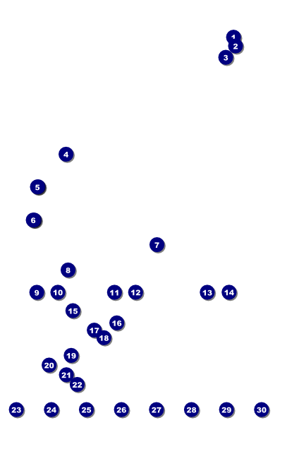 Swimming Logo Poster Front Field Markers