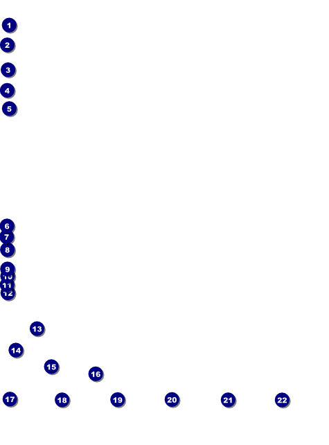 Zombie Woman Logo Flyer Front Field Markers