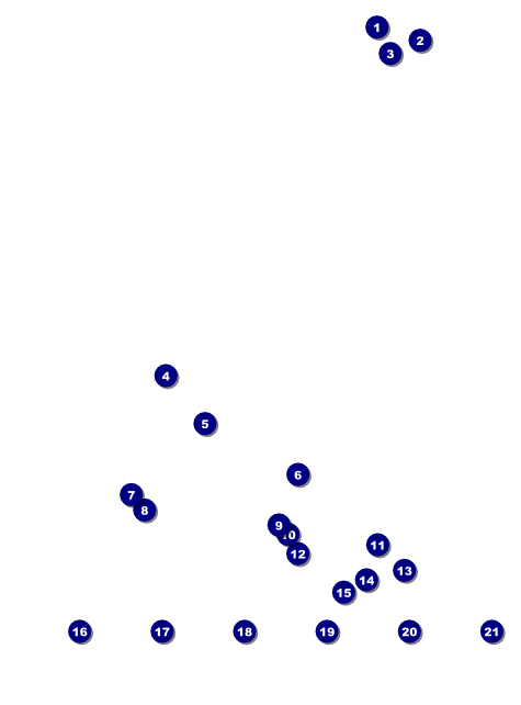 Chinese New Year 2014 Flyer with image uploads Front Field Markers