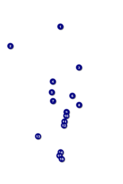 All Purpose Tribal Poster Front Field Markers