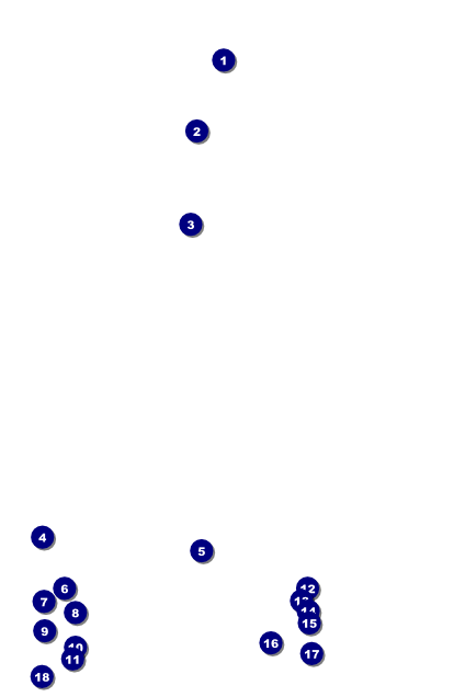 Ice Skating Poster Front Field Markers