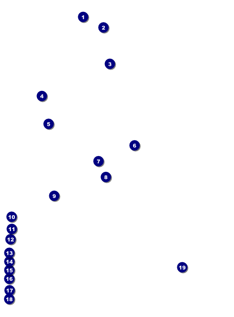 Soccer Field Flyer Front Field Markers