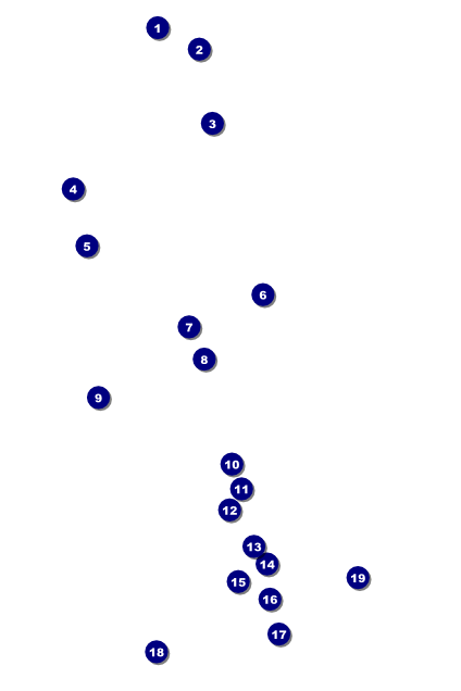 Soccer Field Poster Front Field Markers