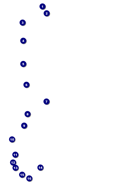 Music Festival Flyer Front Field Markers