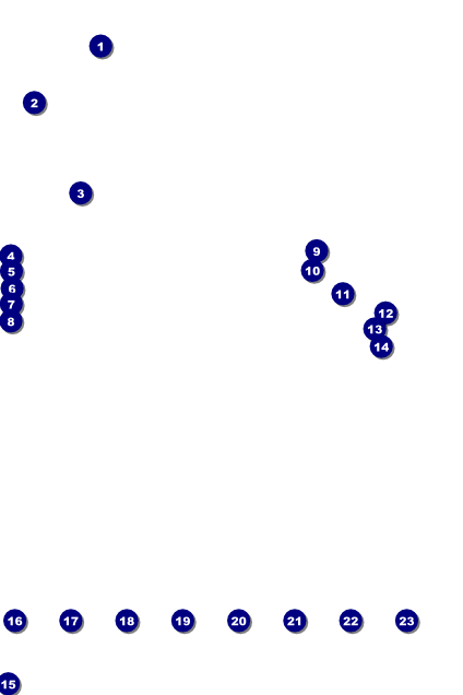 Blues Cruise Logo Poster Front Field Markers