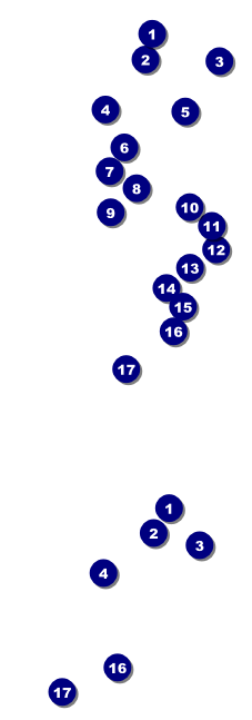 London Raffle Ticket Front Field Markers