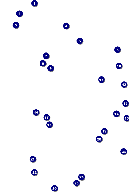 All Purpose Bright Poster Front Field Markers