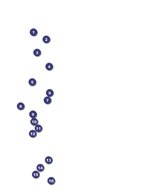 Paper Snowflake Invitation Front Field Markers