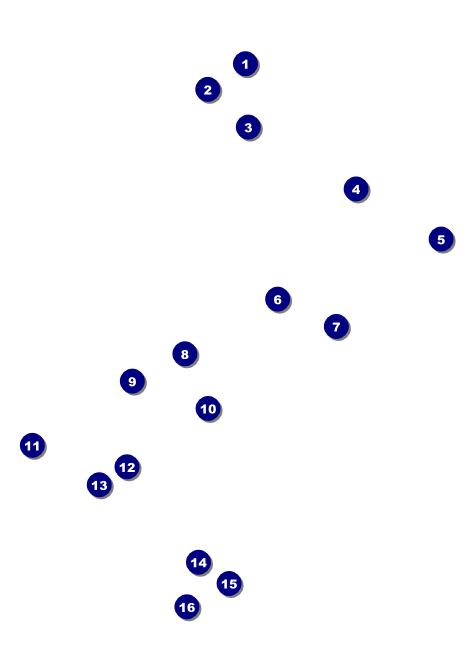 Lions Clubs International Invitation 001 Front Field Markers