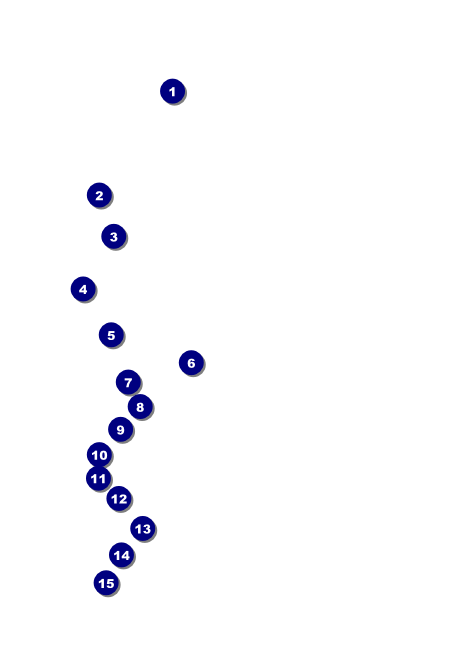 2012 Gold Semi-Formal Invitation Front Field Markers