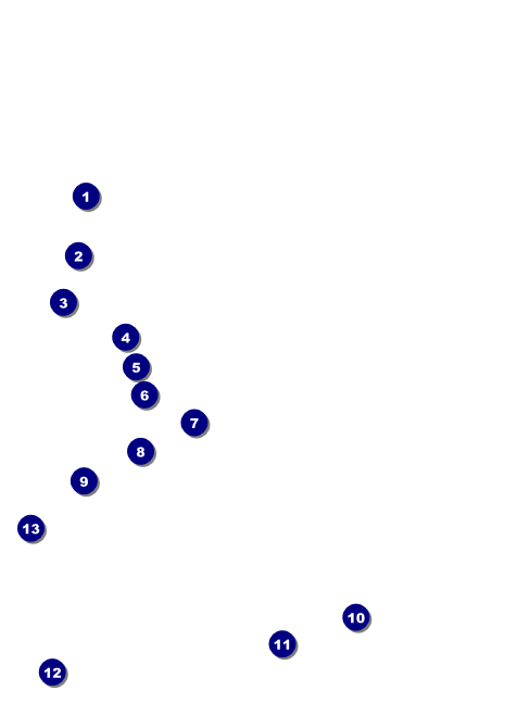 Canada Day Invitation Front Field Markers