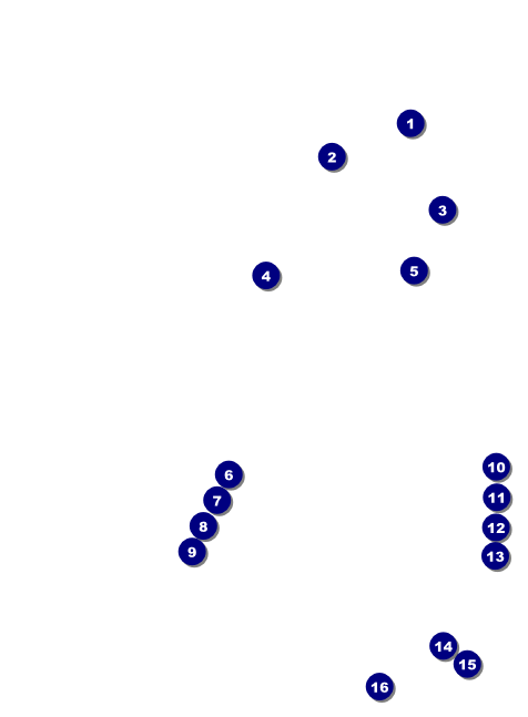 Paris Pink and Black Invitation Front Field Markers