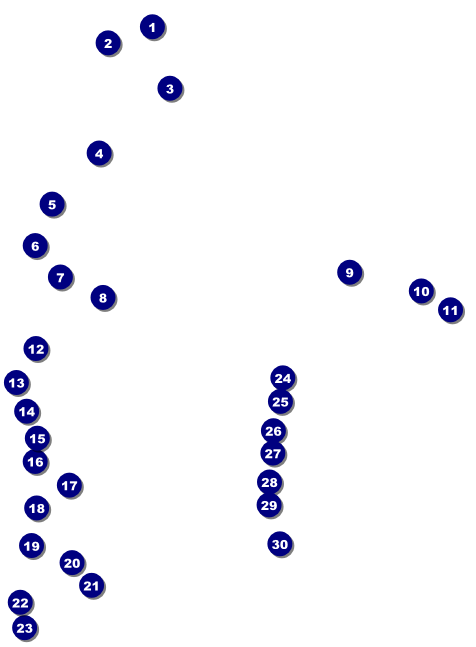 MMA Main Event Invitation (Brown) Front Field Markers