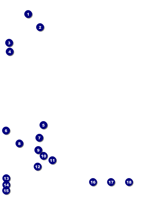 Dance Festival Invitation Front Field Markers